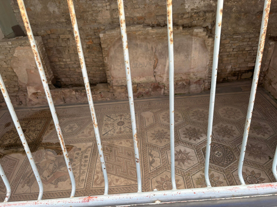 Floor mosaic The Punishment of Dirce-普拉必去景点