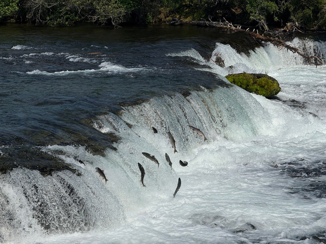 Brooks River-卡特迈国家公园及自然保护区必去景点