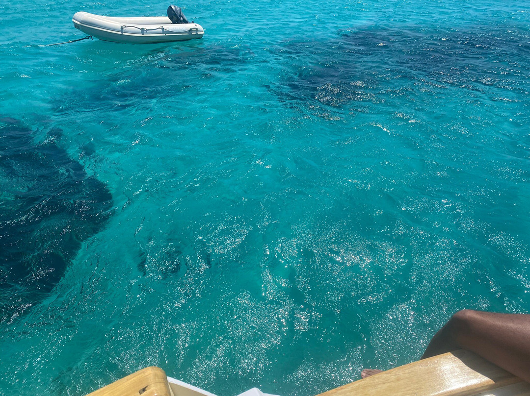 Michael Zeppos - Cruise Boat Day Tours-帕罗斯岛必去景点