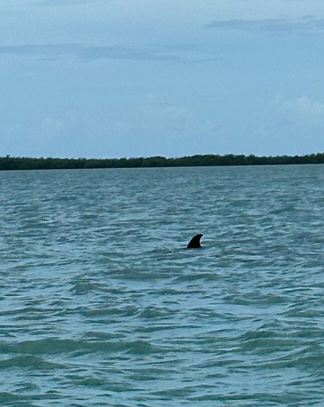 Islander Girl Snorkel &Tours-Tavernier必去景点