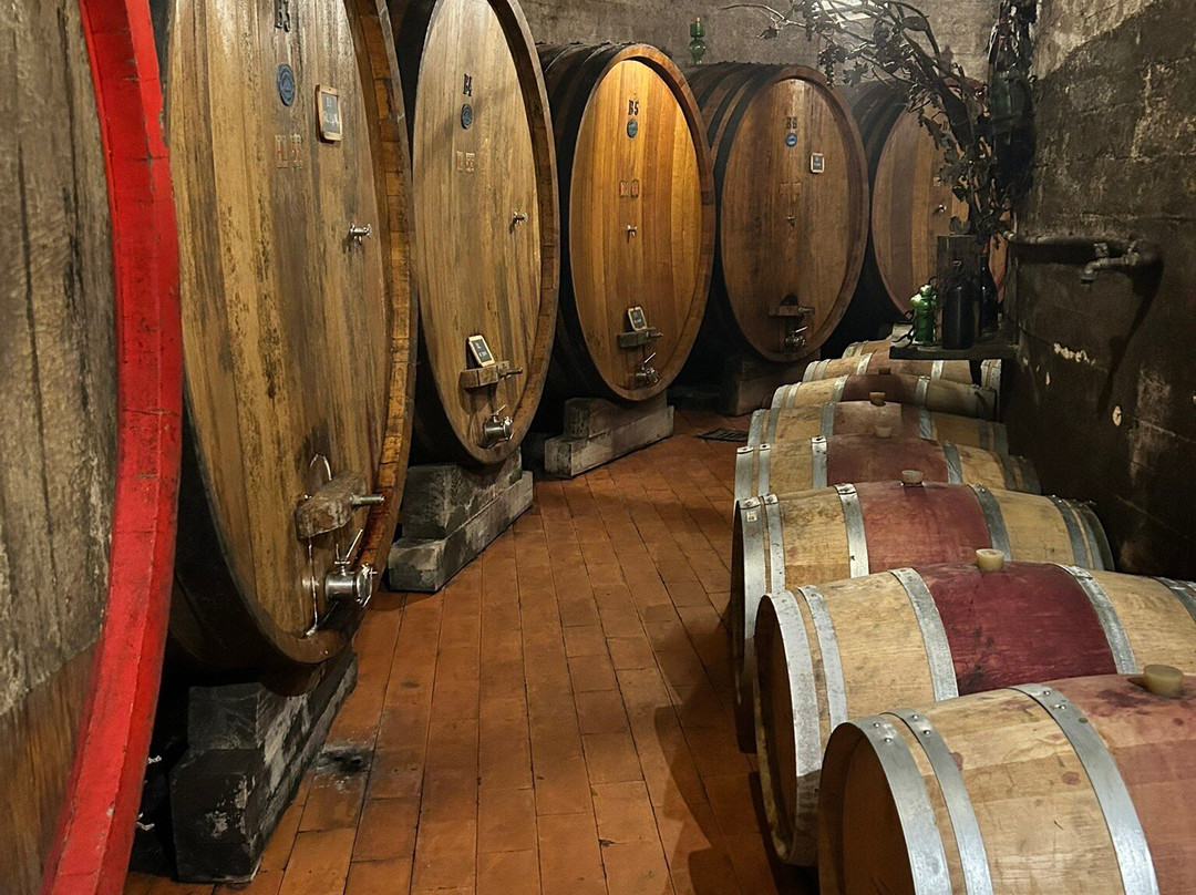 Umani Ronchi Winery-奥西莫必去景点