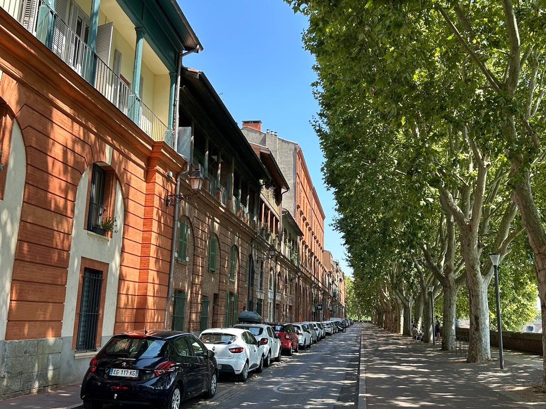 Quai De La Daurade-图卢兹必去景点