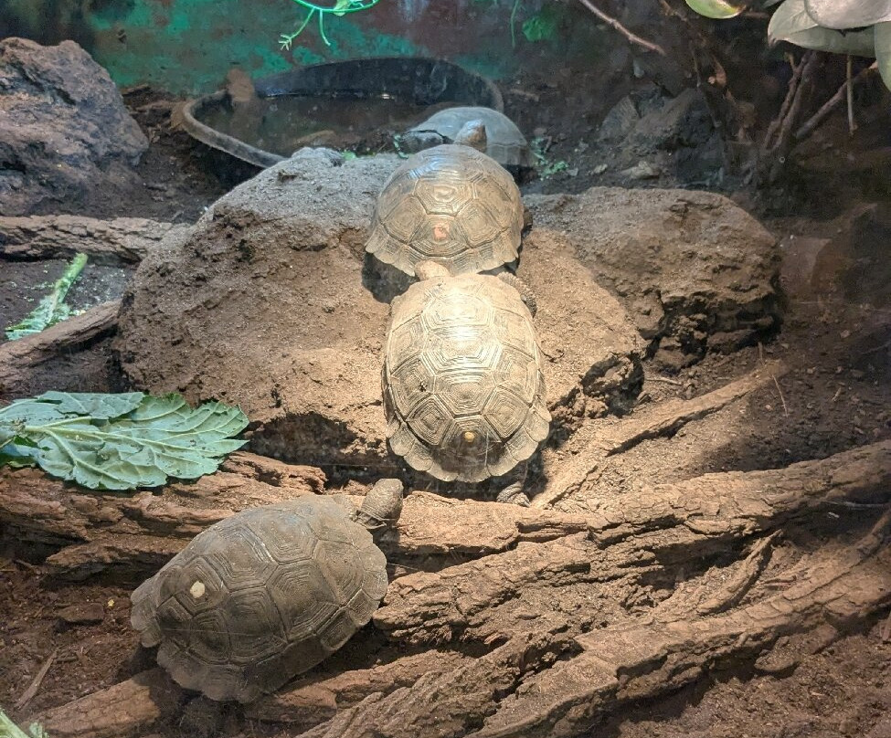 Oklahoma City Zoo and Botanical Garden-俄克拉何马城必去景点