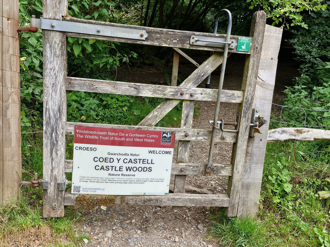 Dinefwr-兰代洛必去景点