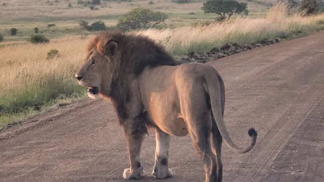 Ashridge Safaris & Guesthouse-雾观必去景点