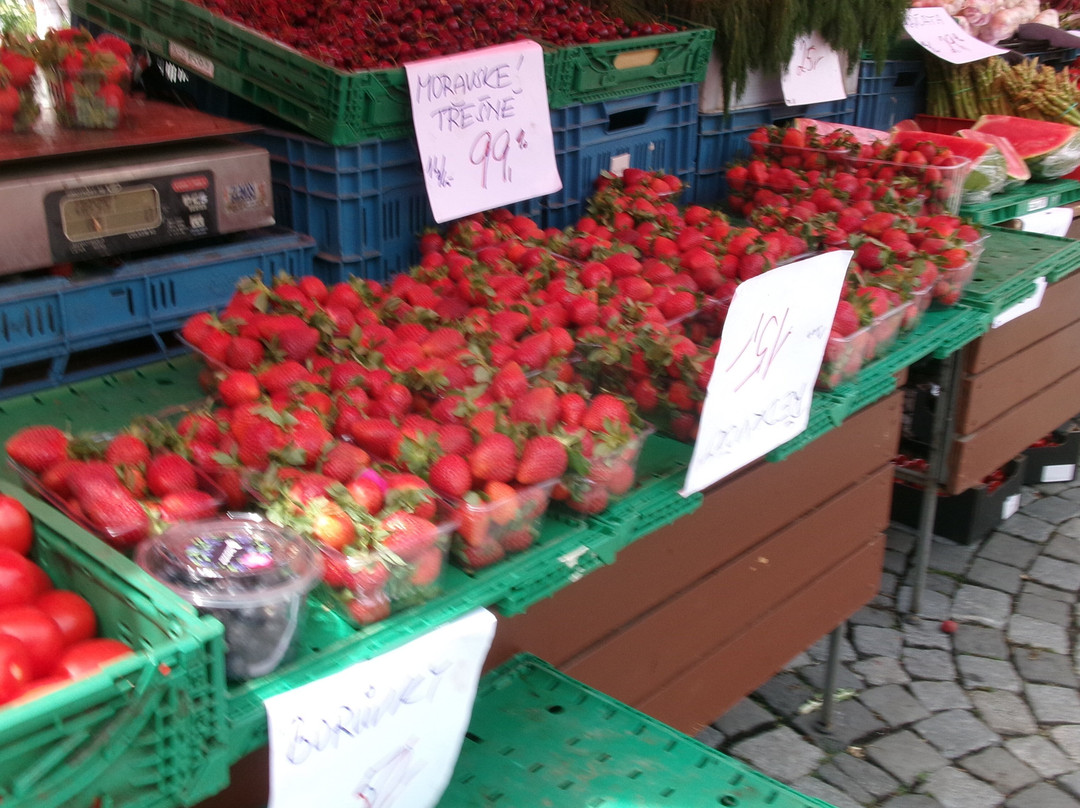 Zelny trh-布尔诺必去景点