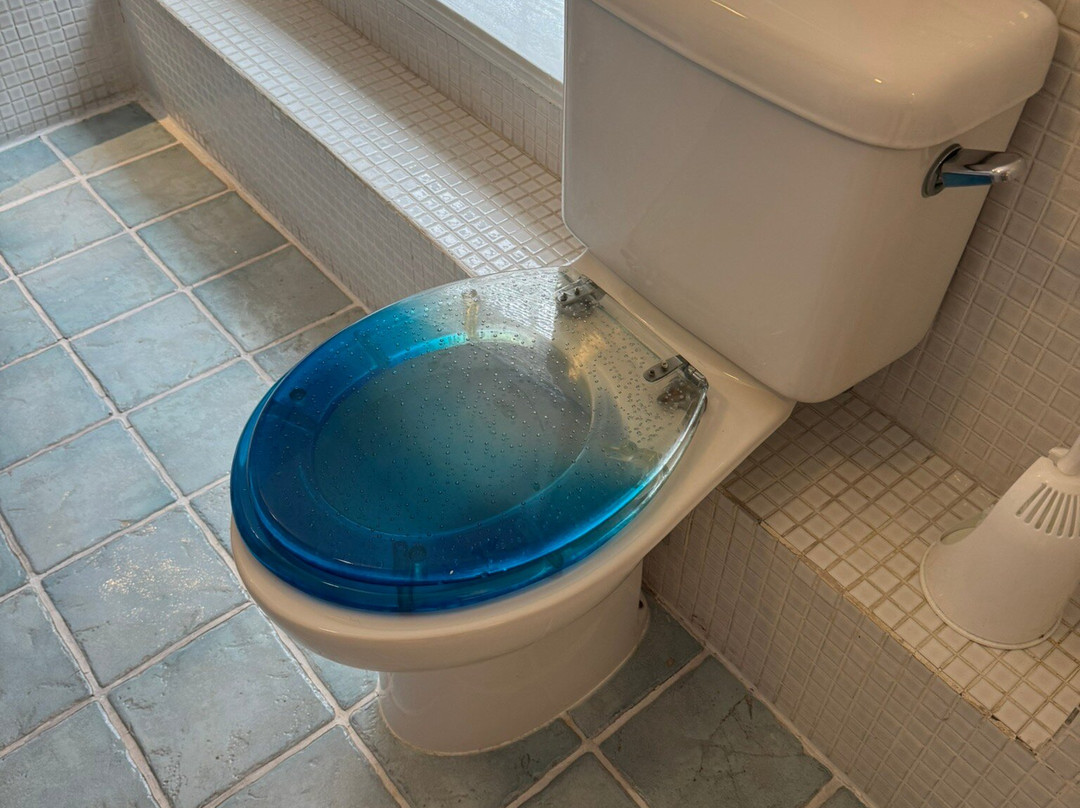 The Wookey Hole Inn主图