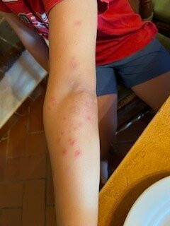 Podere Patrignone主图