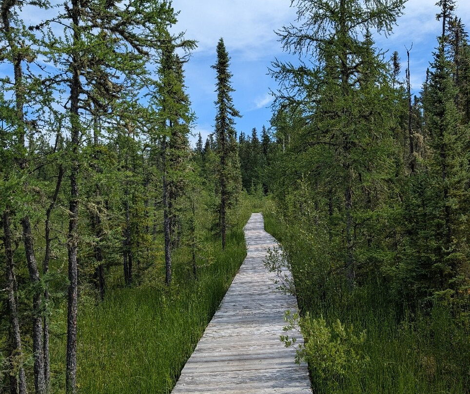 省立深红湖公园-Rocky Mountain House必去景点