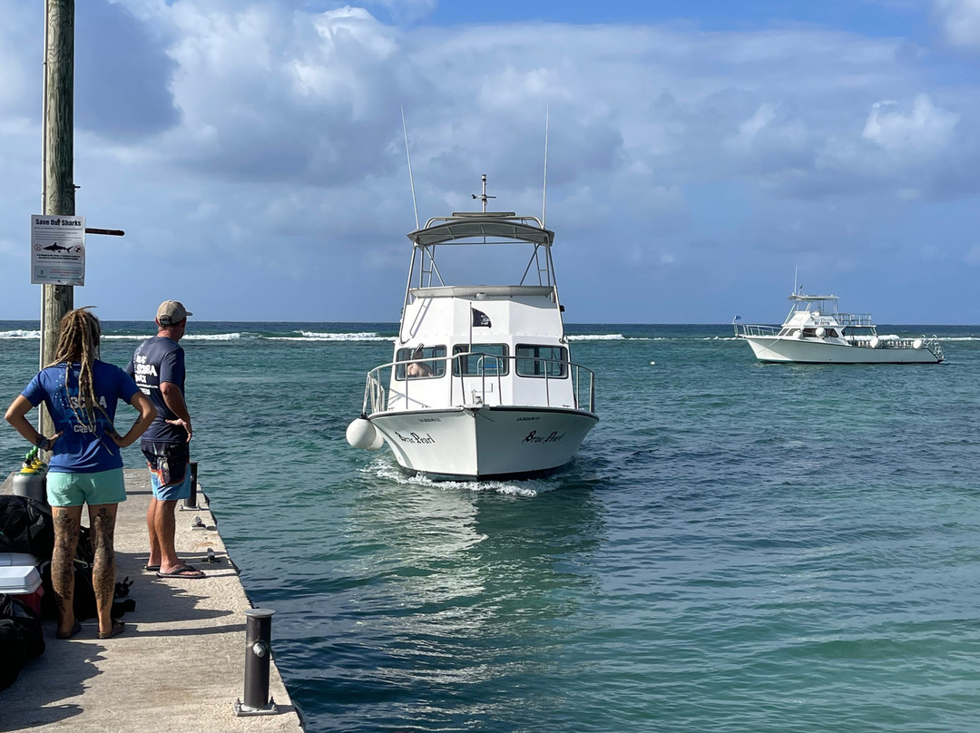 Brac Scuba Shack-Cayman Brac必去景点