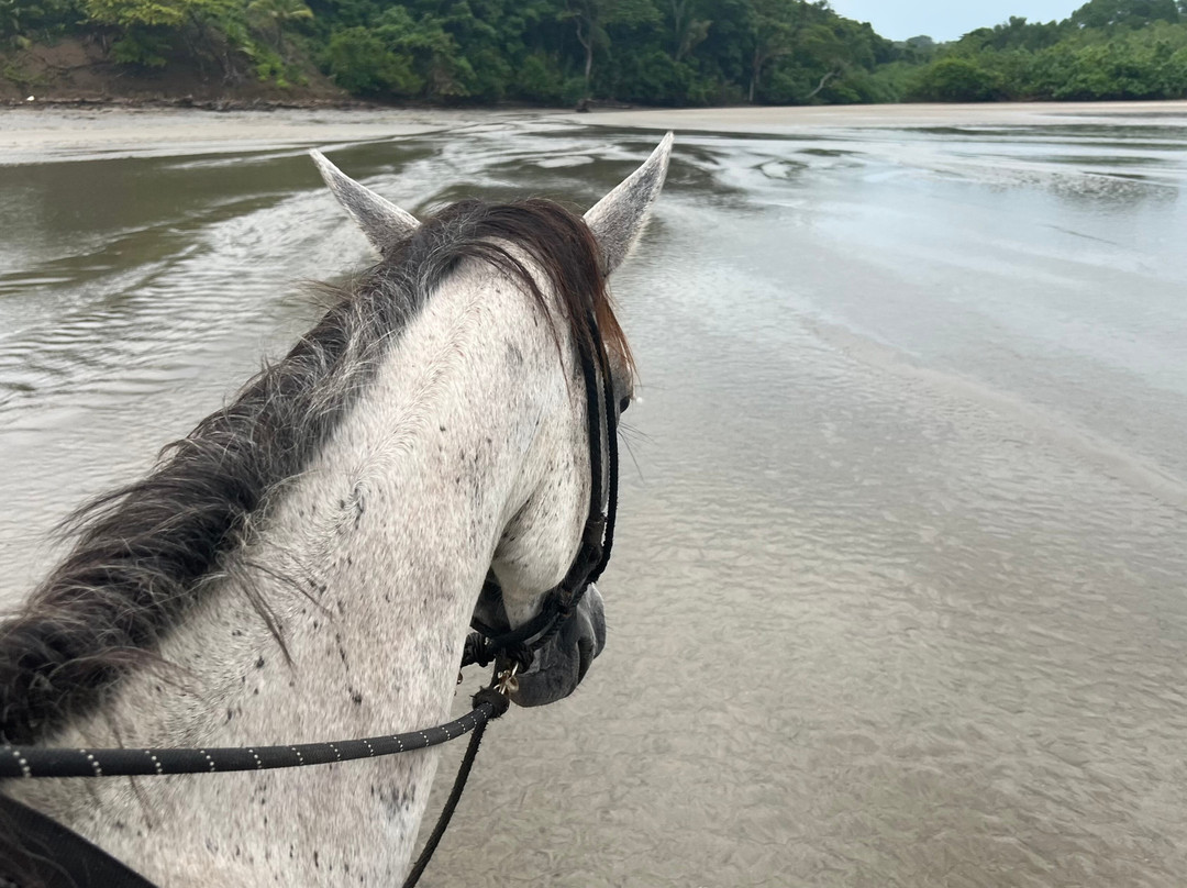 Horizonte Horse Experience-Playa Hermosa必去景点