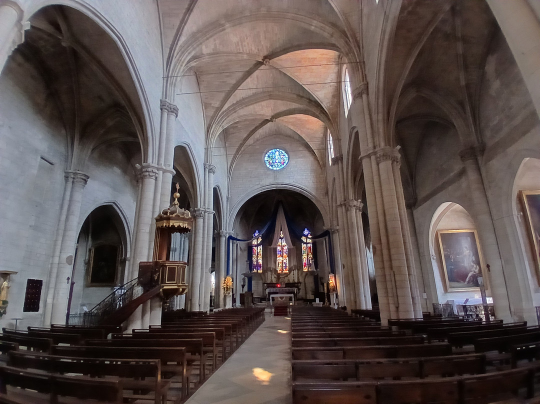 Église Sainte-Marthe de Tarascon-塔拉斯孔必去景点