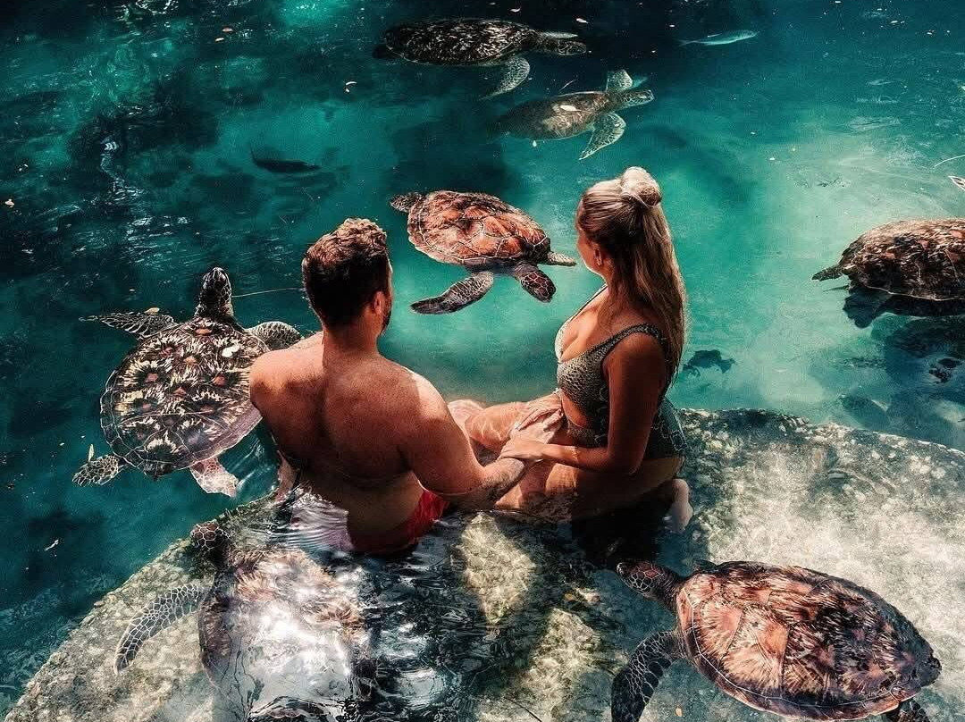 Zanzibar Alibaba Tours-桑给巴尔岛必去景点