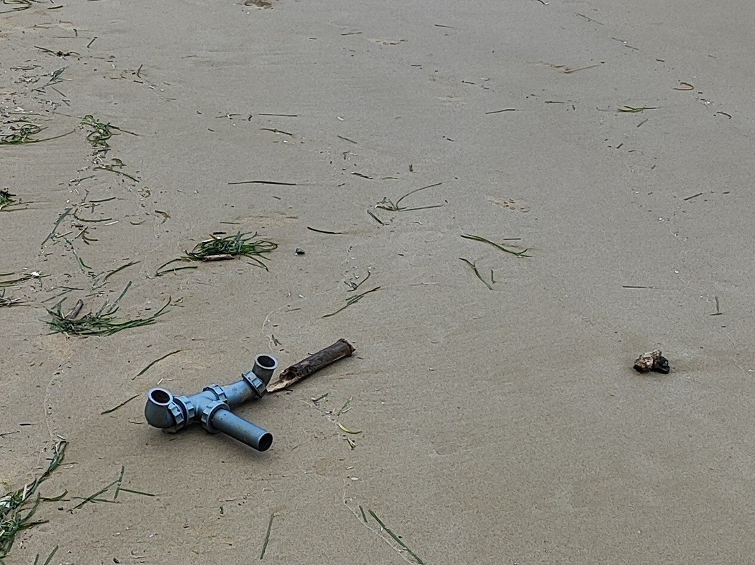 Playa de lenguadillos-萨洛必去景点