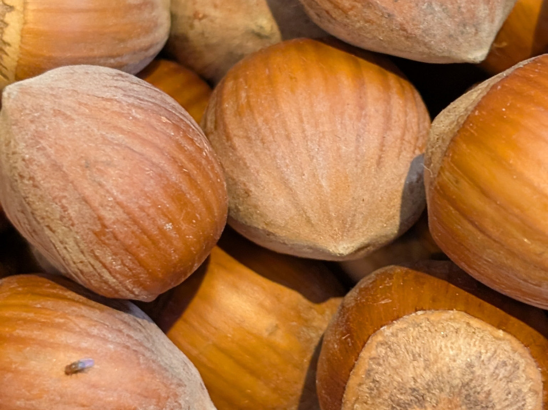 La Maison Ô Kiwis主图