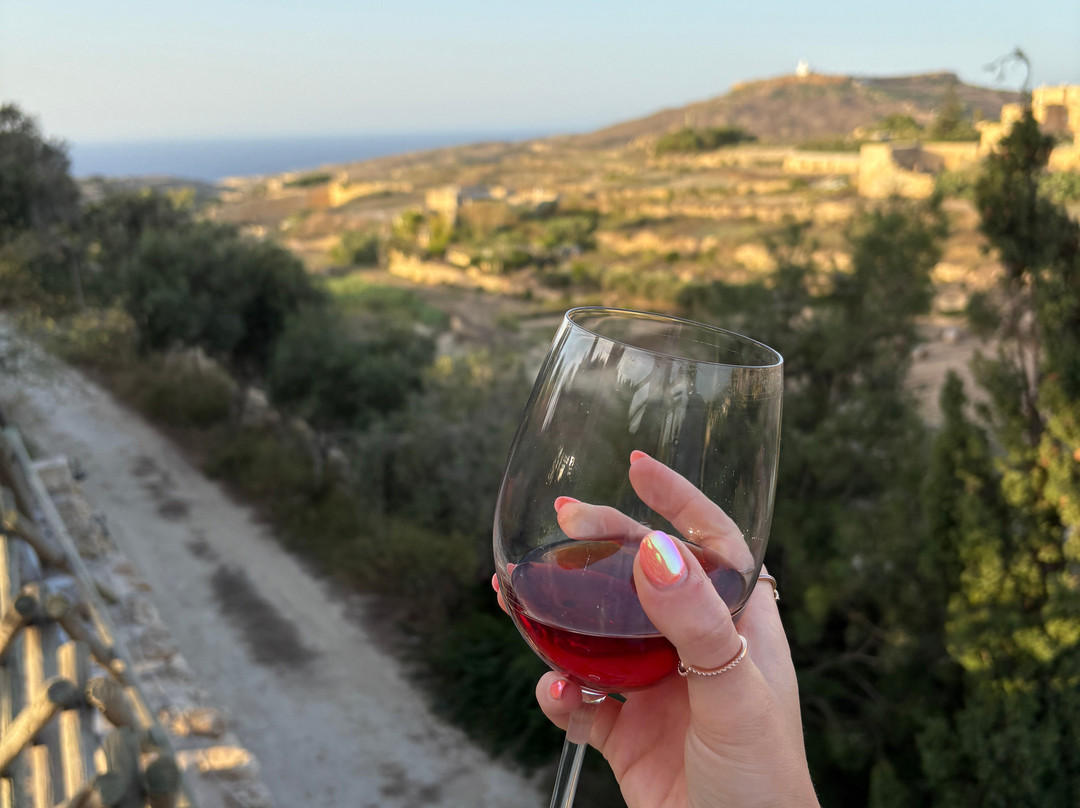 Tal-Massar Winery-Gharb必去景点