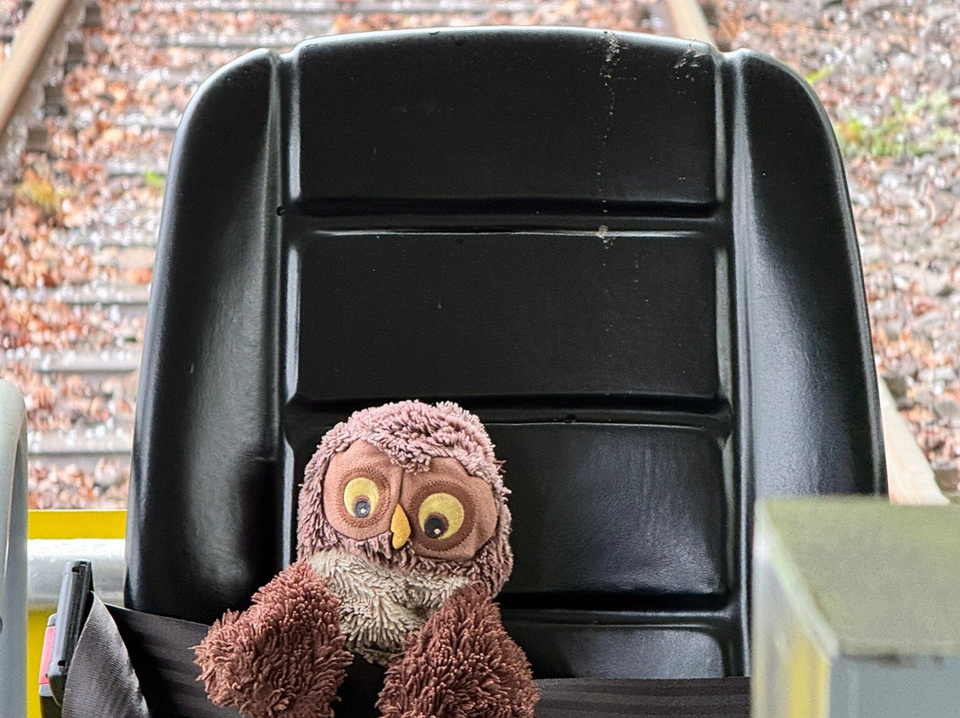 Ueberwaldbahn-Wald-Michelbach必去景点