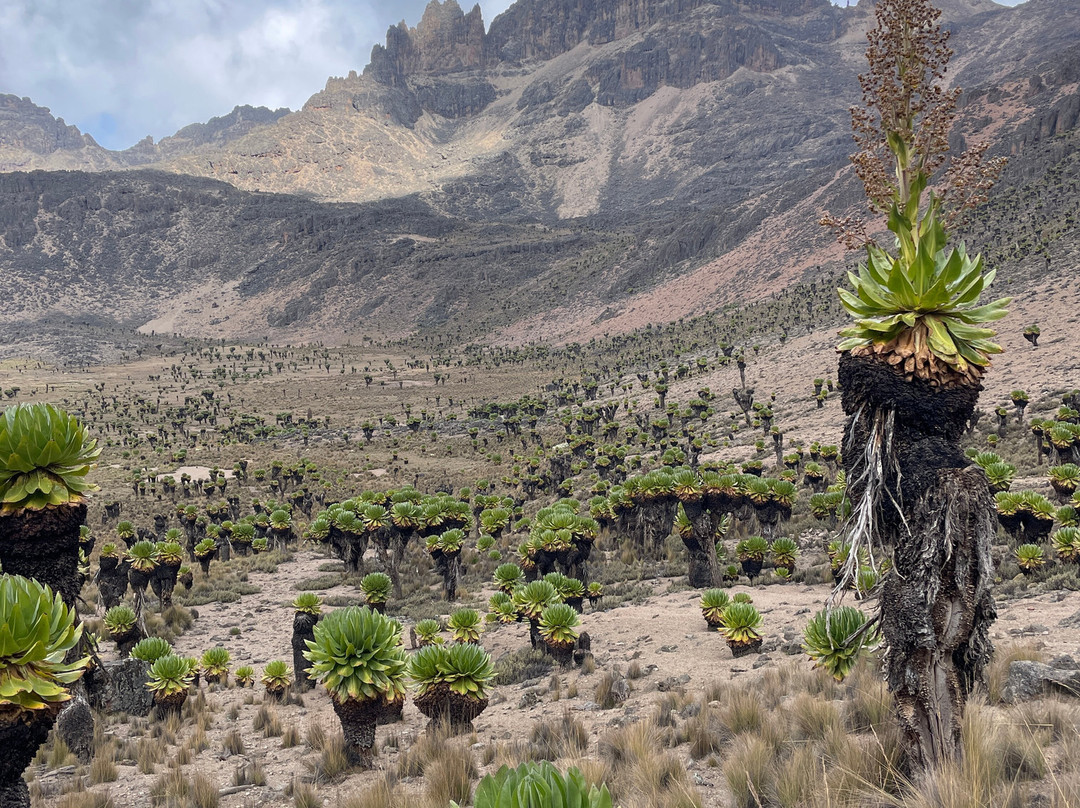 African Ascents-南由基必去景点