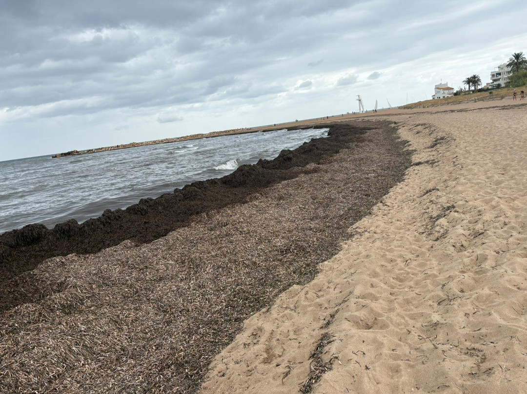 Playa Els Molins-德尼亚必去景点