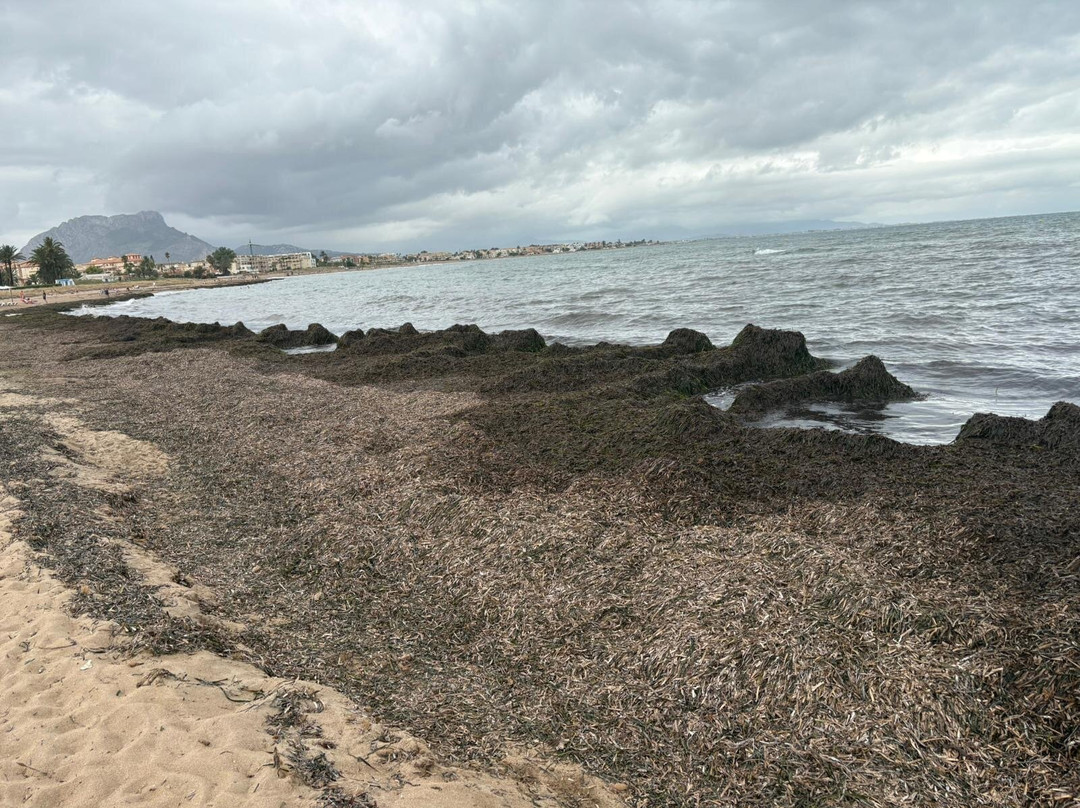 Playa Els Molins-德尼亚必去景点