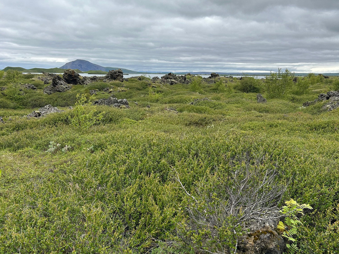 Dimmuborgir Lava Formations-米湖必去景点