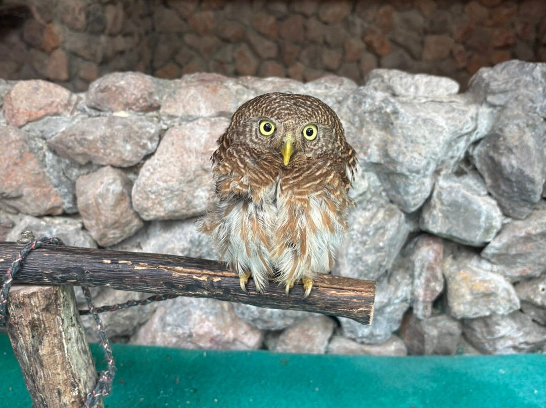 羊驼农场-愿拼县必去景点