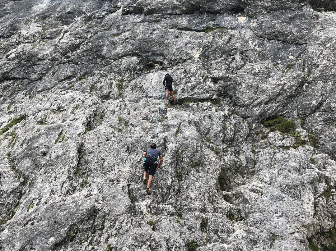 Guide Alpine Tre Cime-奥龙佐迪卡多雷必去景点