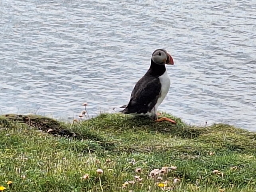 Papay Peedie Tour-Papa Westray必去景点