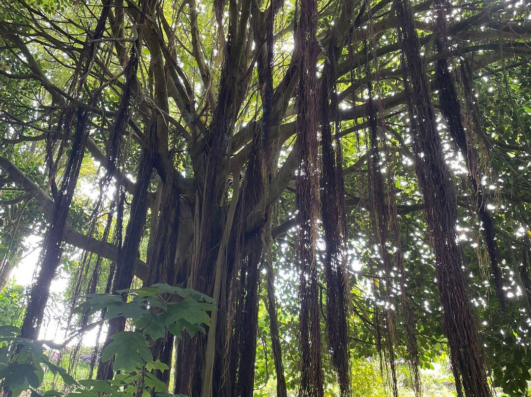 Fonte Baxa-卢阿尔卡必去景点