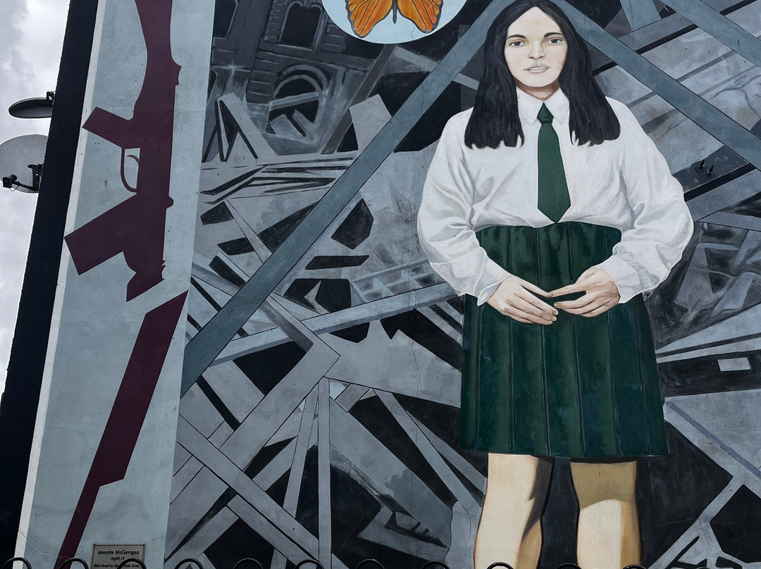 Derry Guided Tours-德里必去景点