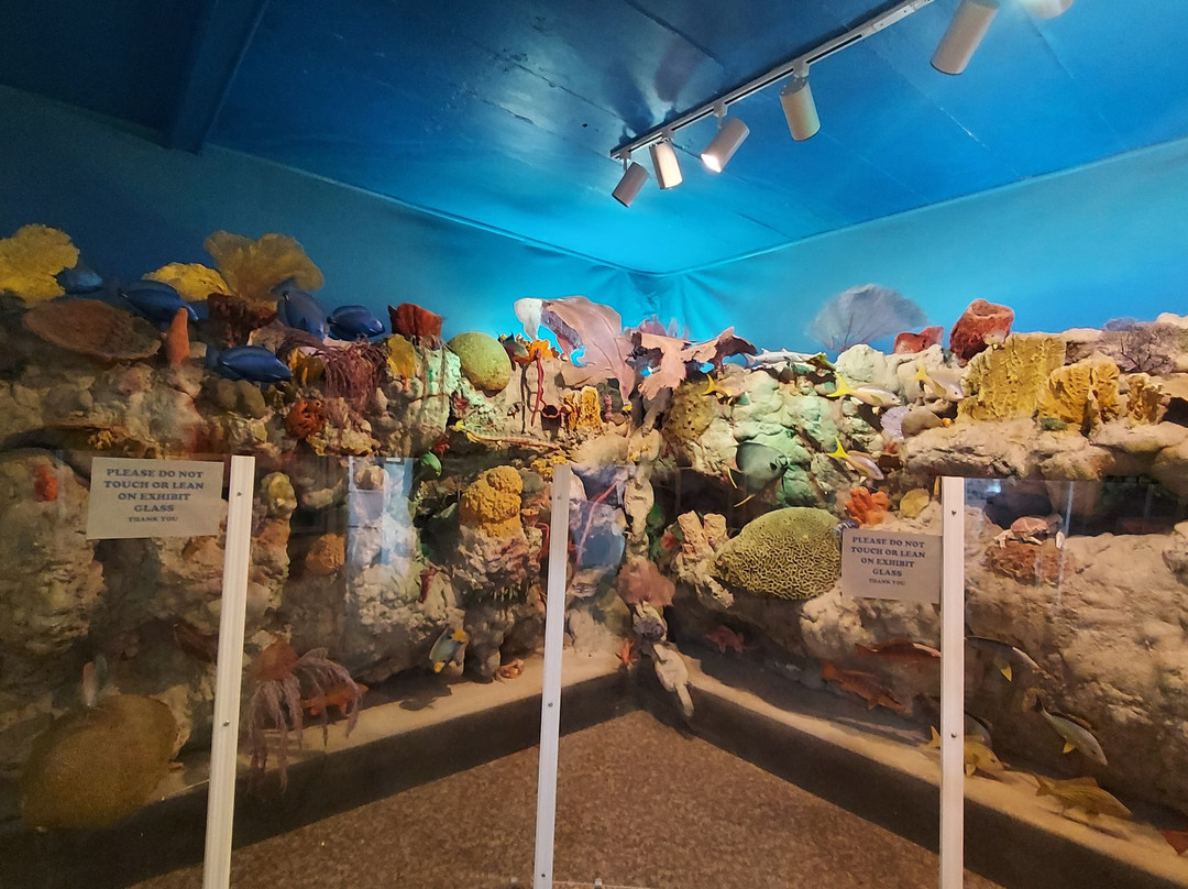 Turks & Caicos National Museum-Grand Turk必去景点