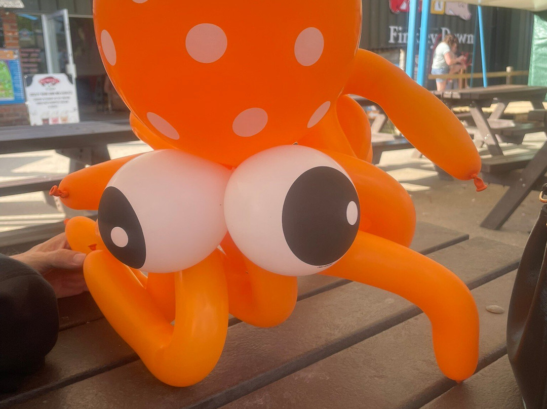 Finkley Down Farm-Andover必去景点