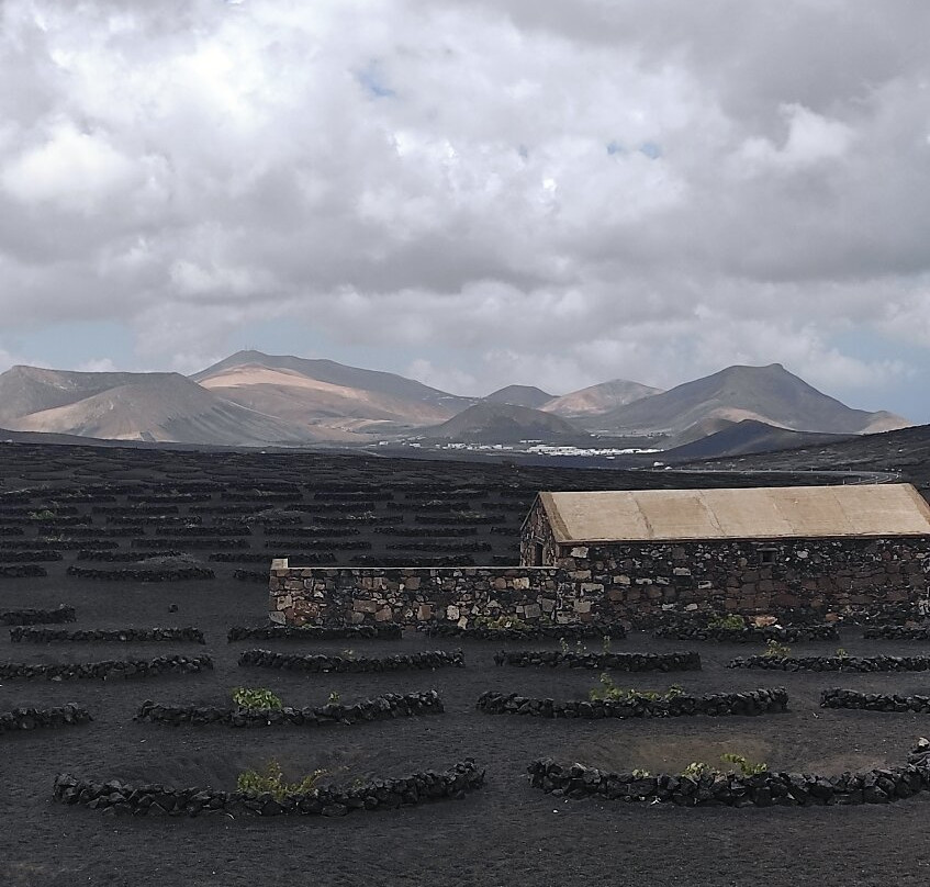 Bodegas Rubicon-Yaiza必去景点