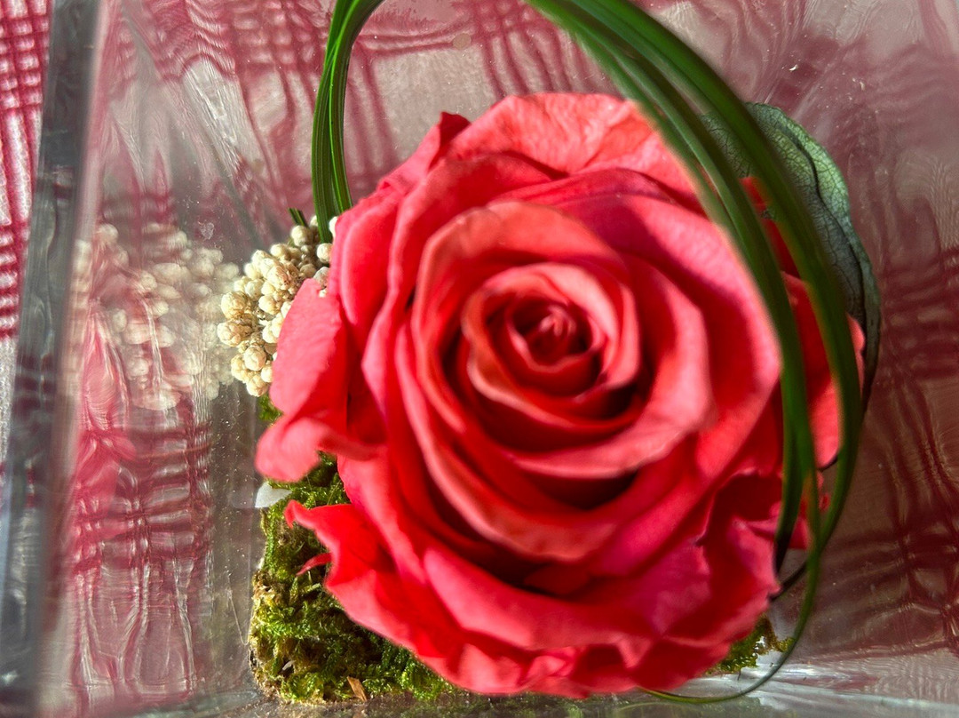 Hotel le Ferraillon主图