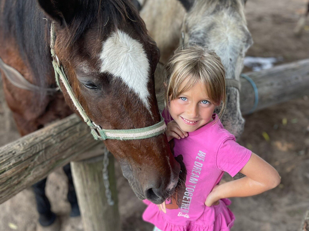 Stony Lake Stables-New Era必去景点