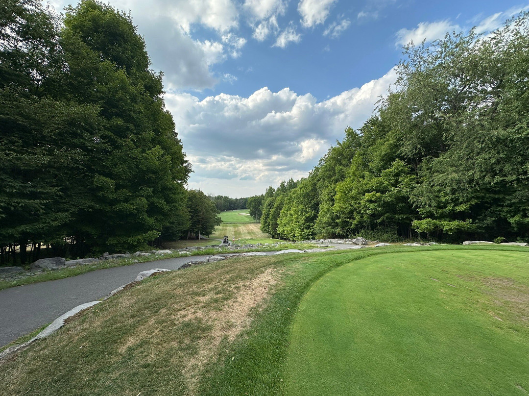 Black Bear Ridge Golf & Resort-贝尔维尔必去景点