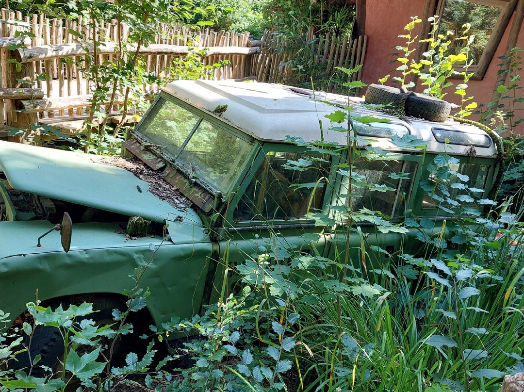 Zoo Osnabrück-奥斯纳布吕克必去景点