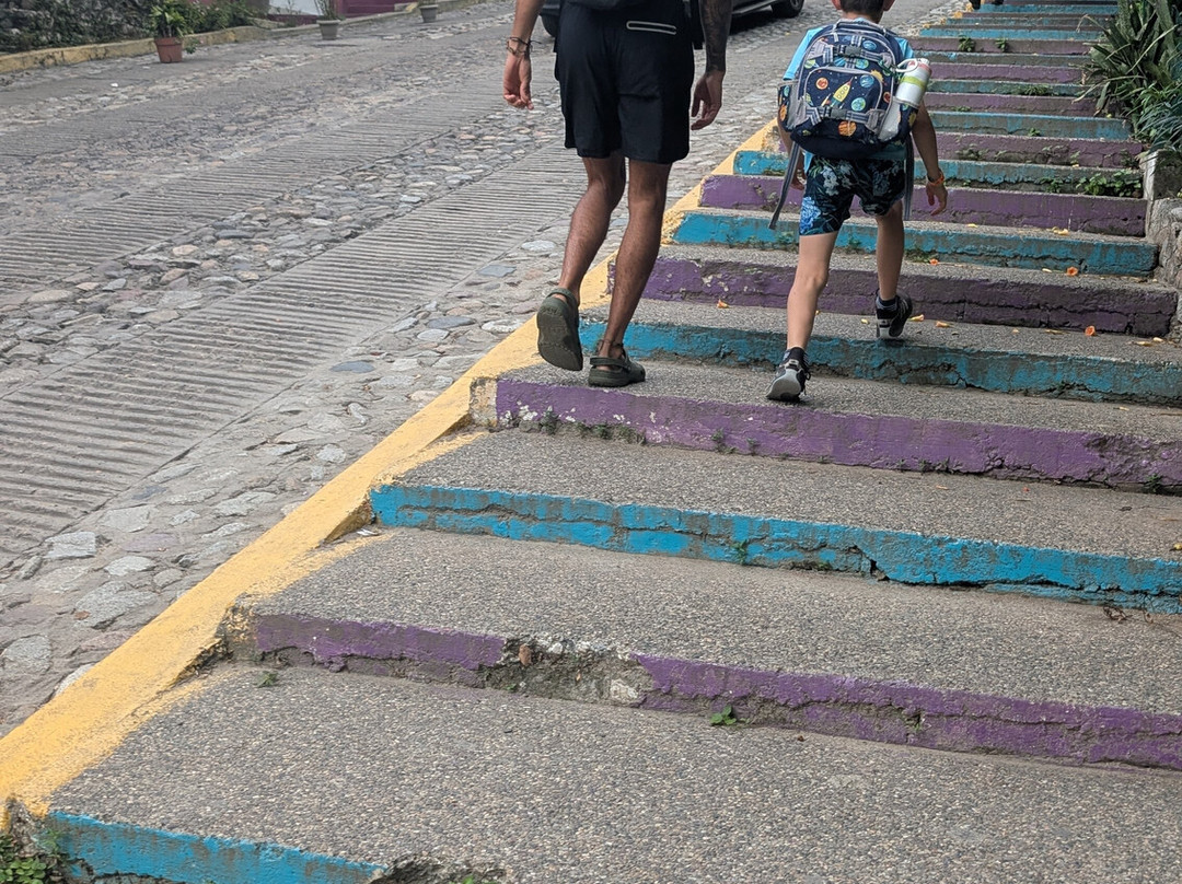 Puerto Vallarta Activities by My Deztination-瓦拉塔港必去景点