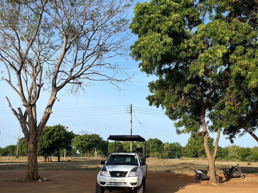 Udawalawe safari vishal-乌达瓦拉瓦必去景点