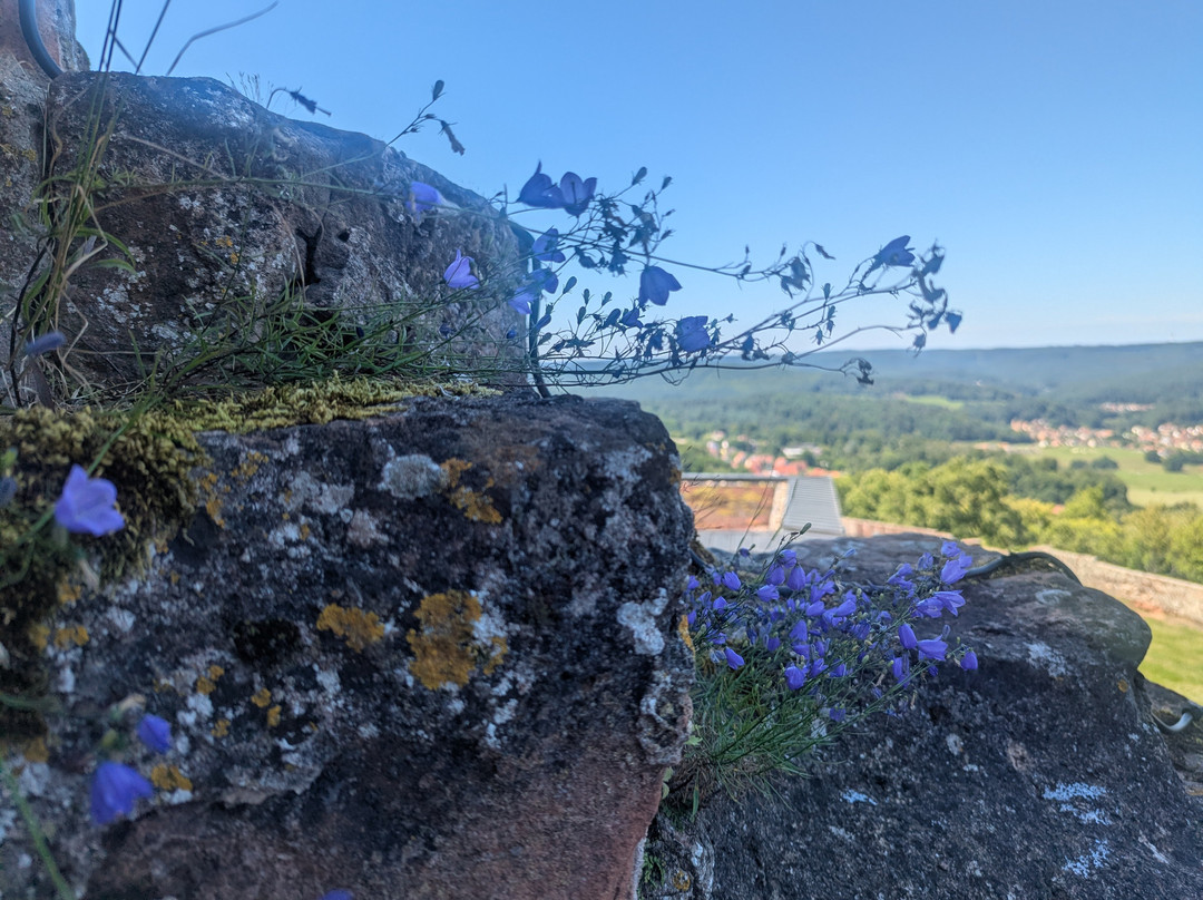 Chateau de Lichtenberg-Lichtenberg必去景点