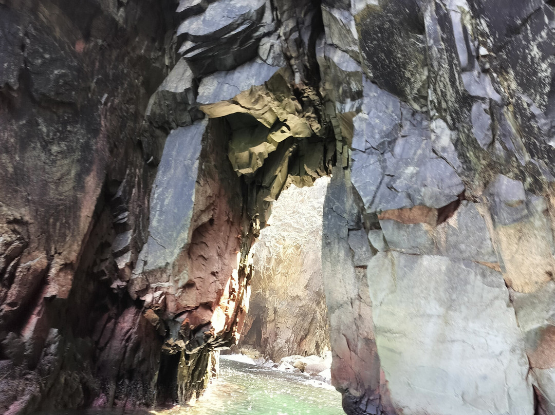 Discovery Sea Adventures-Bonavista必去景点