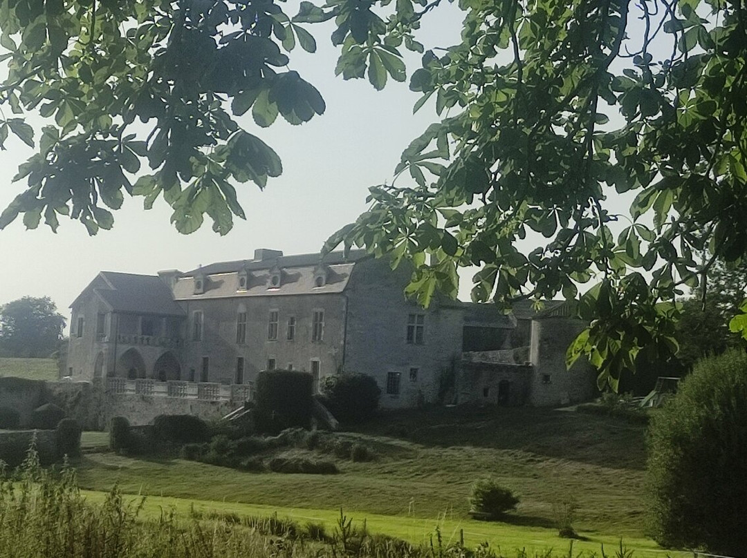 Château De Cibioux主图