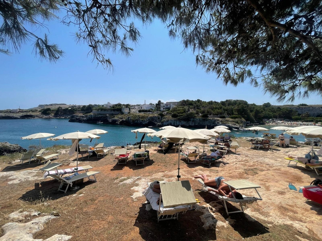 Azienda Agricola Grotta dei Cervi