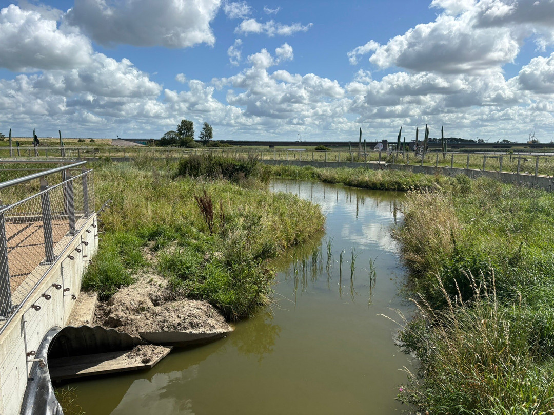 Multimar Wattforum-Toenning必去景点