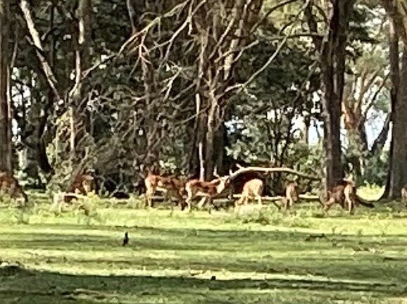 Sirocco Wildlife Sanctuary主图