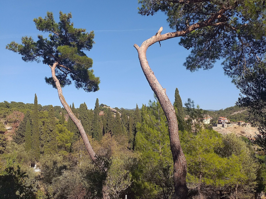 Zeus Altarı-埃德雷米特必去景点