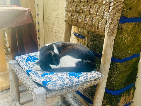 里亚德贝尔迪摩洛哥传统庭院住宅旅馆主图