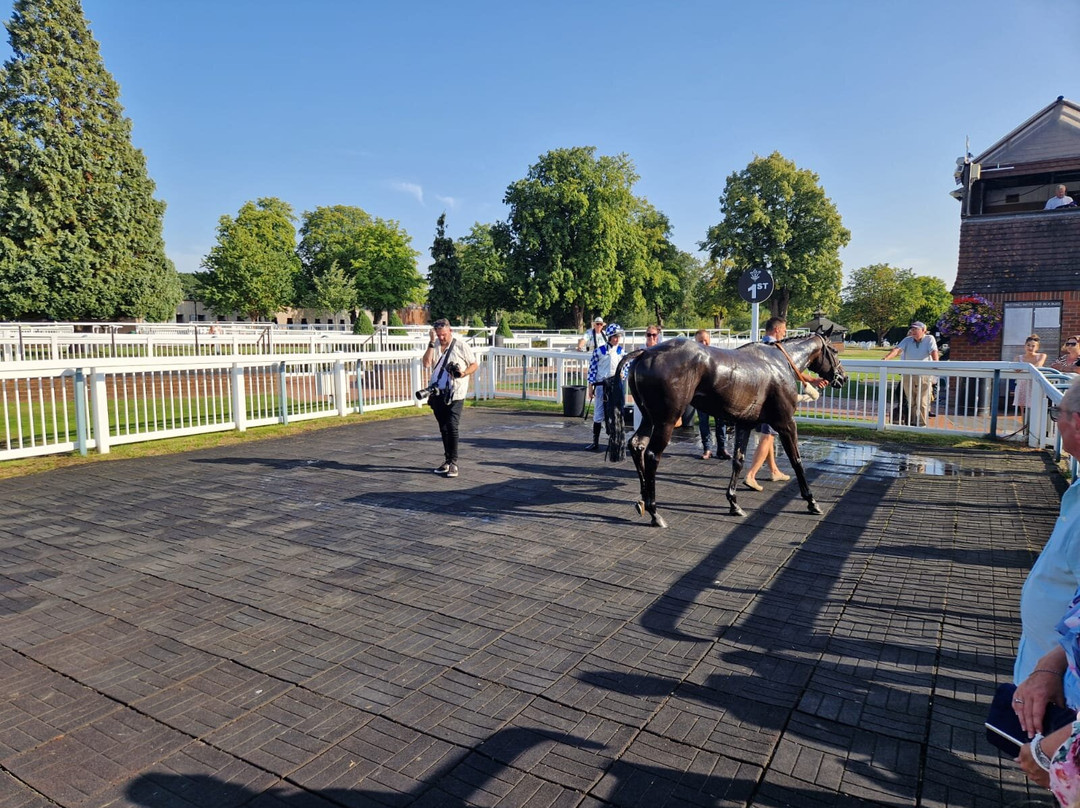 Lingfield Park Resort-Lingfield必去景点