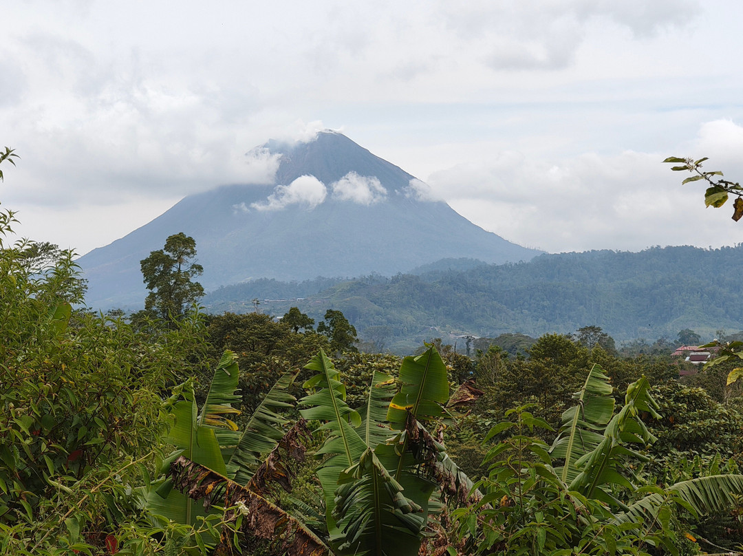 Lite 'N' Easy Tour-武吉丁宜必去景点