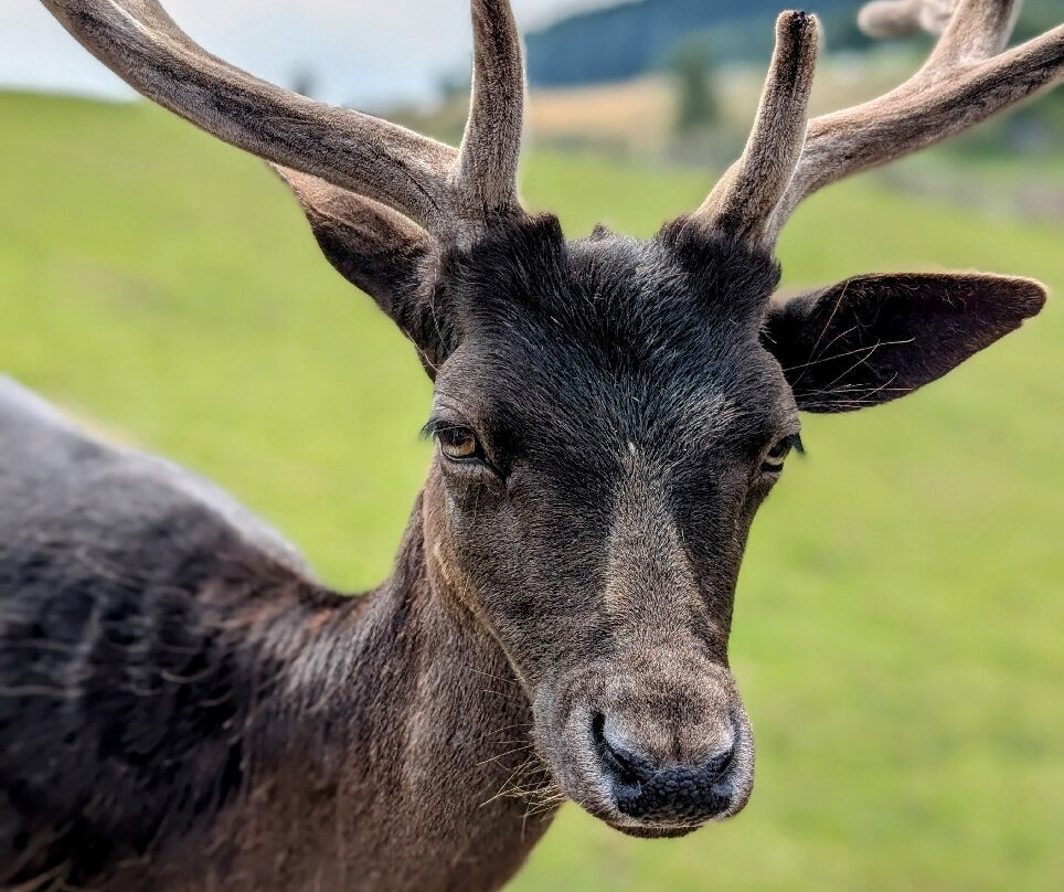 ZOO Łaczna-Mieroszow必去景点